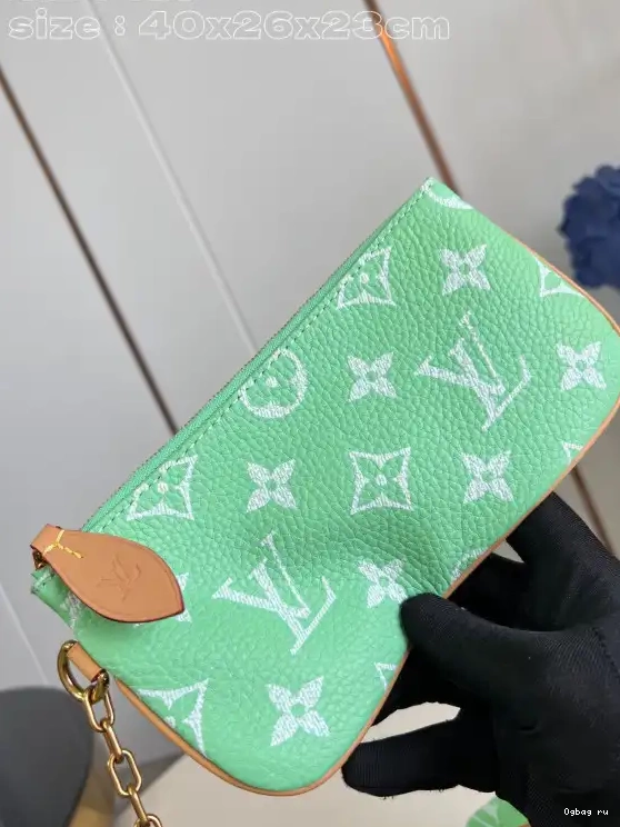 40 Vuitton SPEEDY Louis 0519